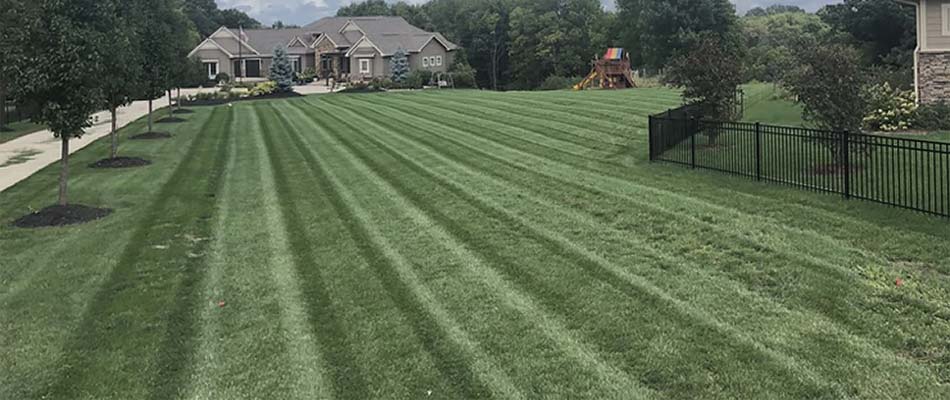 How Much Does Lawn Mowing Cost?