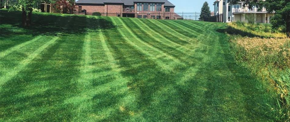 Lawn with mowing lines near Bondurant, IA.